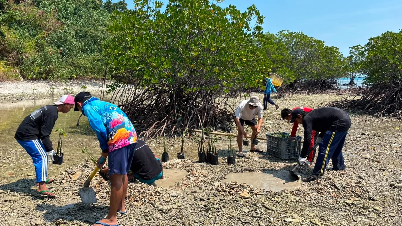 Digagas PLN UID Jakarta Raya, Program Konservasi Pulau Sabira Raih Predikat Platinum di Indonesia Green Awards 2026